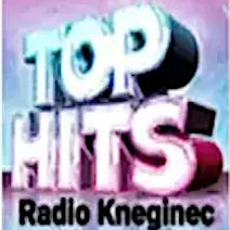 Logo Top Hits Radio Kneginec