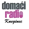 Domaći